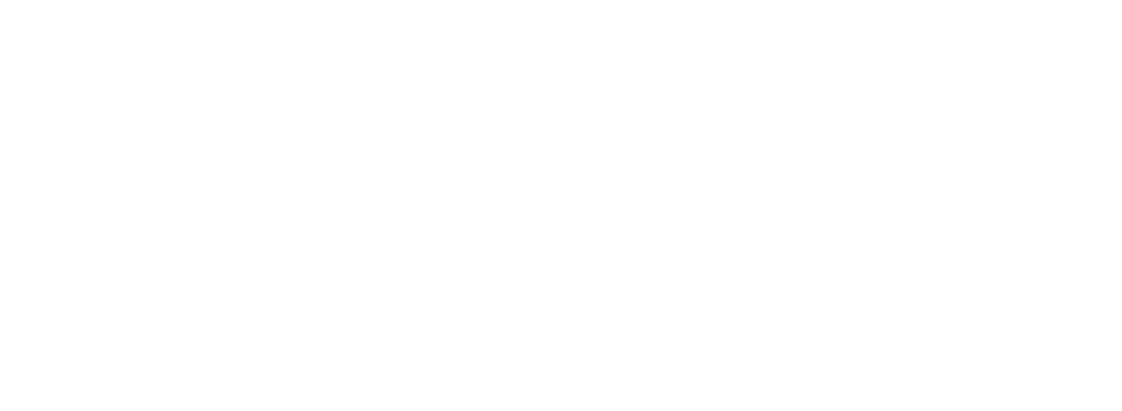 Vista Consulting